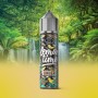 LEMON TIME GINGER 10/60
